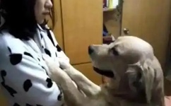 JEALOUSVUE日本成熟IPHONE69